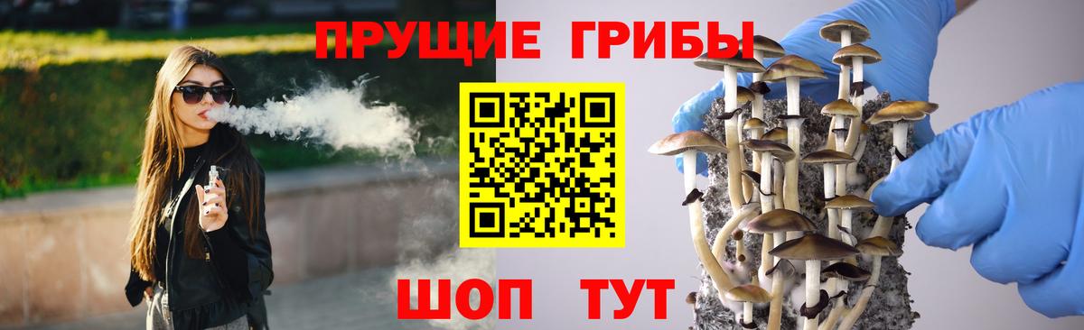 Краснознаменск  Галлюциногенные грибы Cubensis  Вход с VPN 